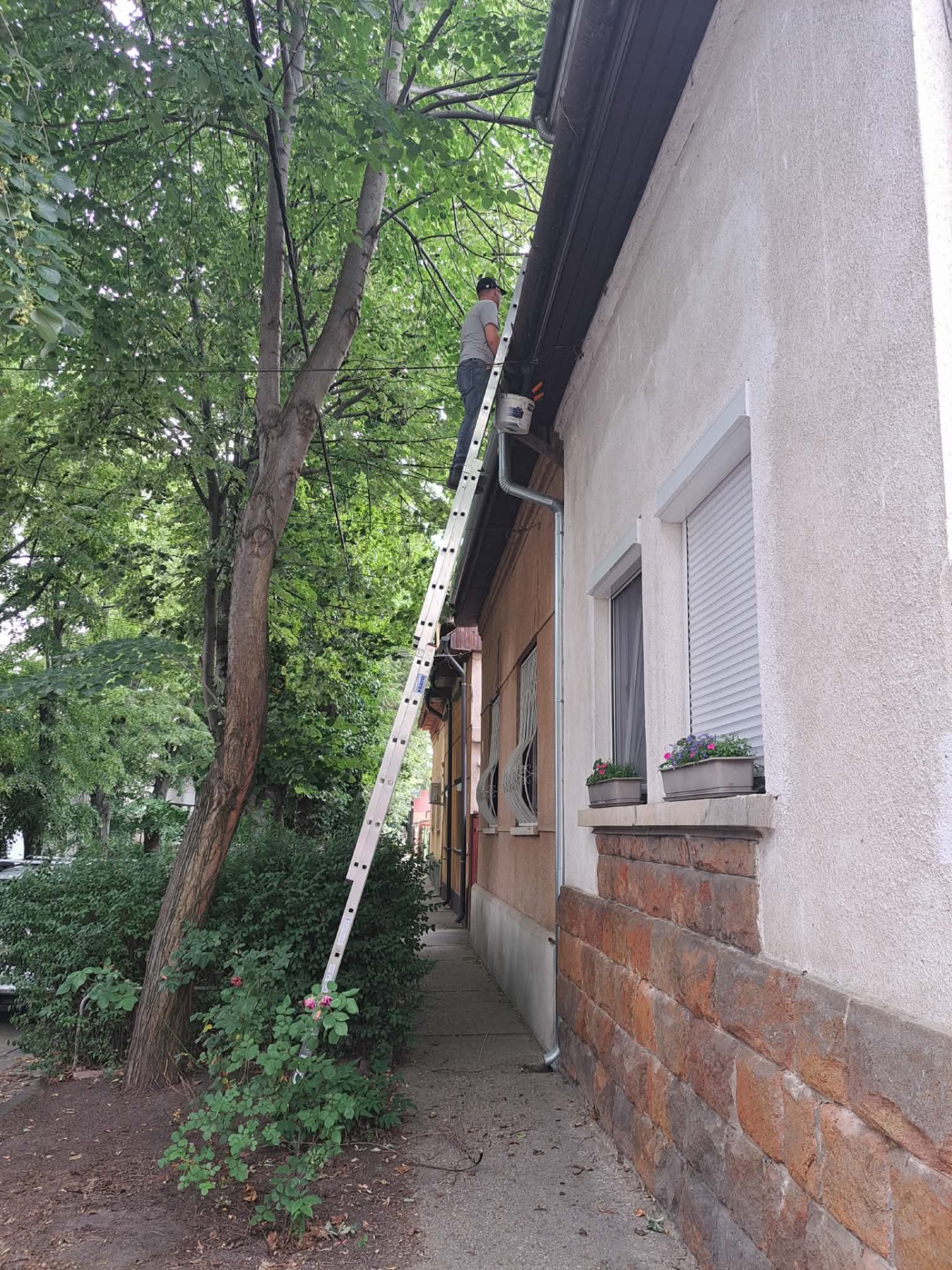 Eresztisztítás közben